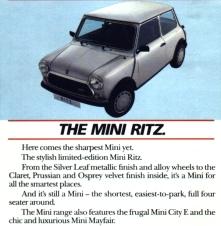 Mini Ritz